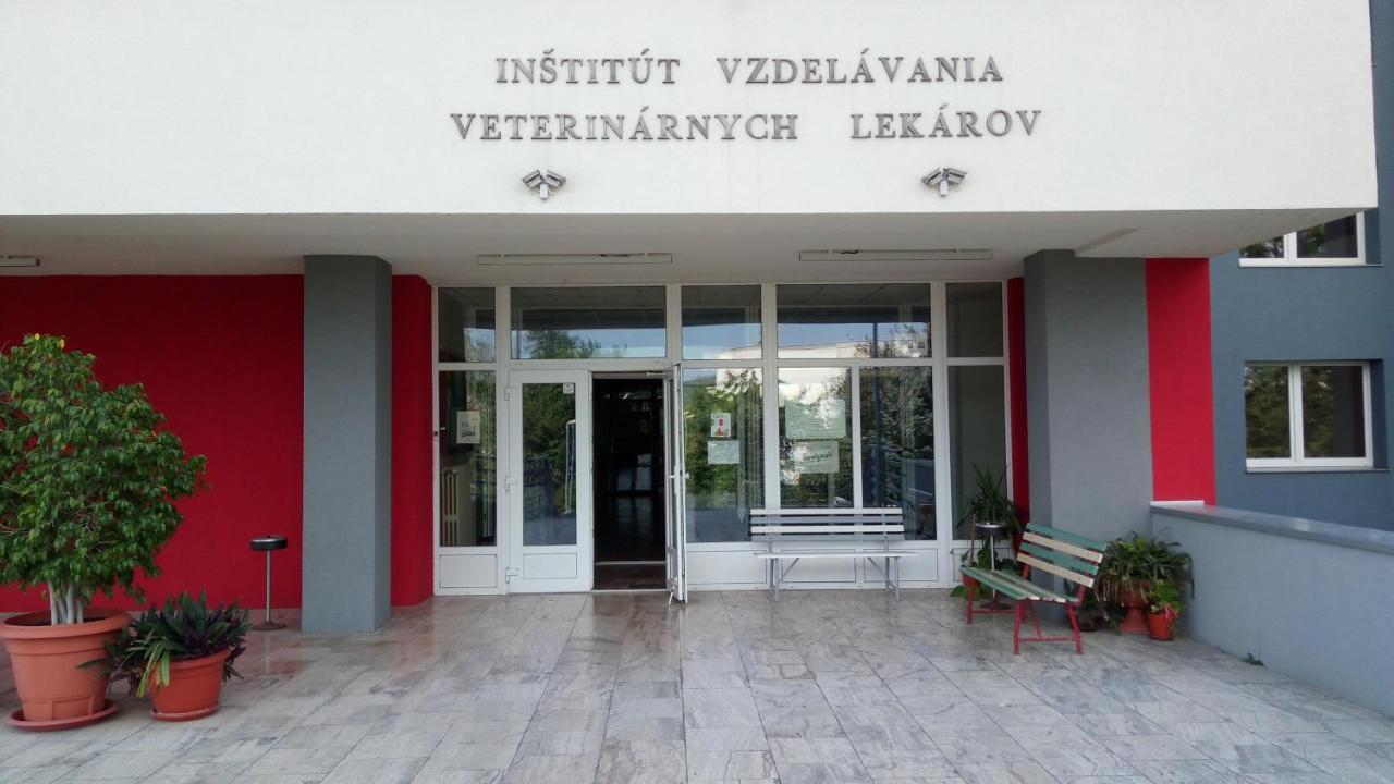 Penzión Inštitút Košice Exterior foto